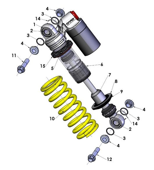2020 Cobra CX65 - SHOCK - EXTERNAL