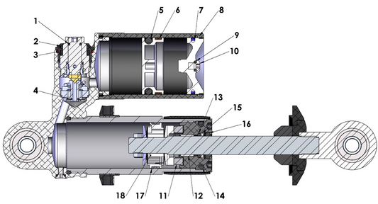 2023 Cobra CX50 JR - SHOCK - INTERNAL
