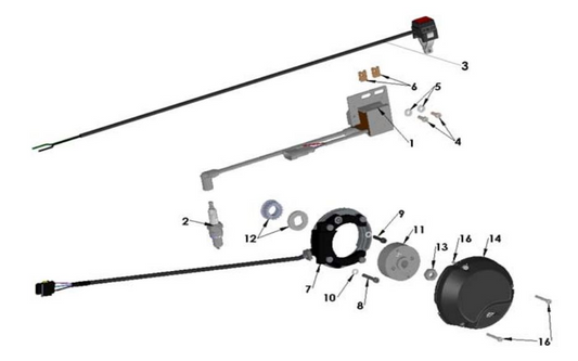 2021 Cobra CX50 JR - ELECTRICAL SYSTEM